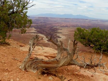 Canyonland (Moab) (UT)